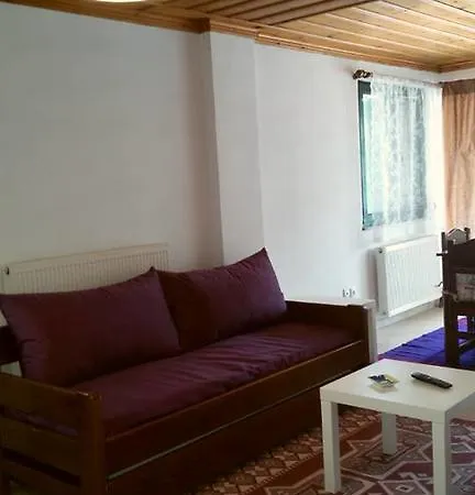 Dimitsana Apartment * Dimitsana